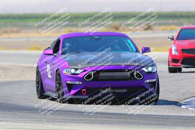 media/Sep-18-2022-Speed Ventures (Sun) [[5447a334fb]]/Purple/Cotton Corners/